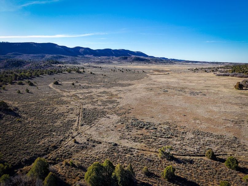 DJI_20260312092136_0149_D