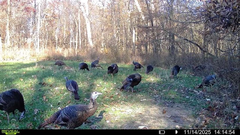 016579007489151-22-4-11142025141454-V-SYFW00414