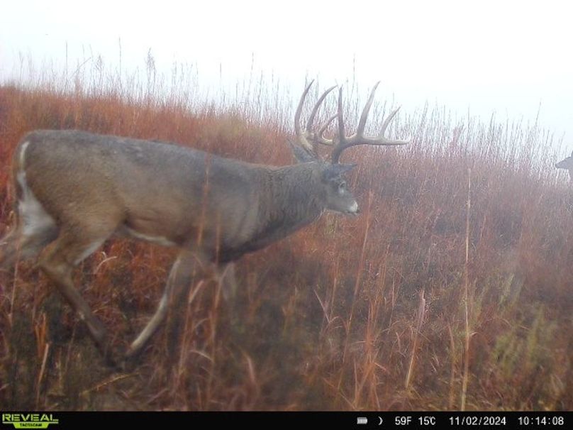 1.Copy of Copy of 864049057268551-90-2-11022024101408-W1031683