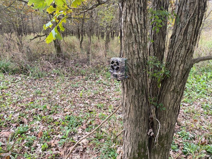 pics from late 2021 and early 2022. New plots being planted in Aug 2023 for new pics (47)