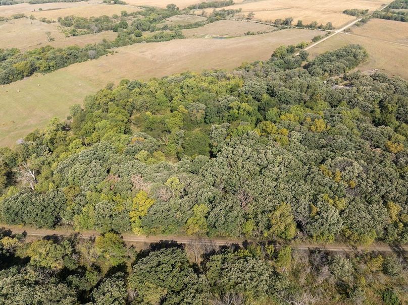 20240913-DJI_20240913105146_0107_D