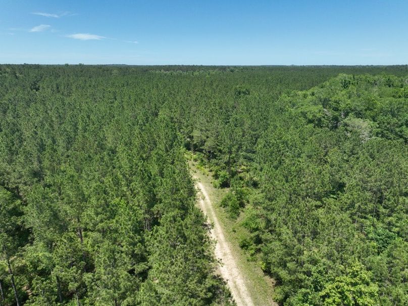 dji_fly_20250522_161230_223_1747959483080_photo