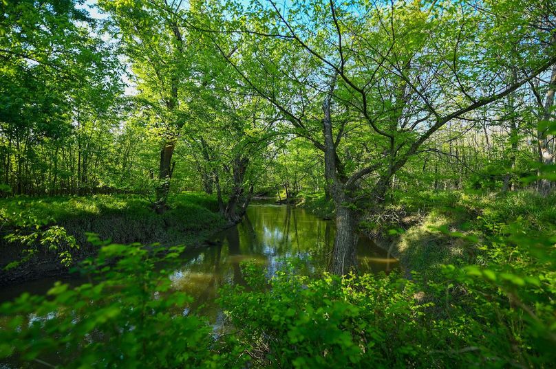 vandalia 450 (2)-3019