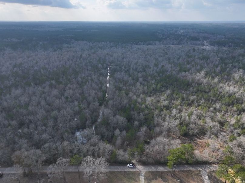 dji_fly_20260212_135606_0032_1771284252458_photo