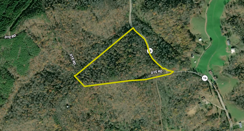 Screenshot 2024-07-09 at 10.43.21 AM