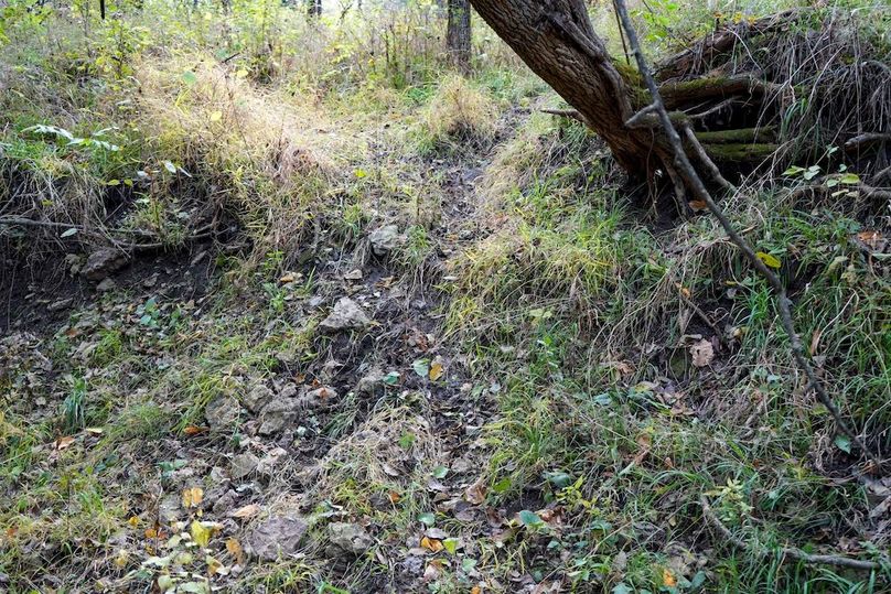 Dickinson Co, 154.5_012