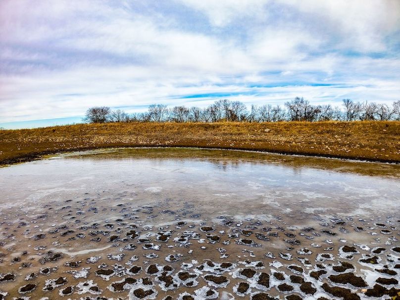 DJI_20260119120129_0735_D