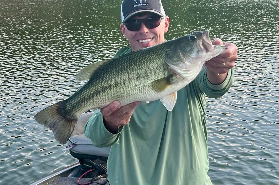 2 fish  copy