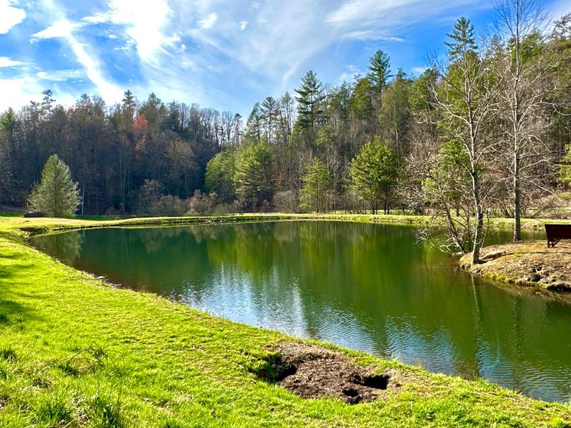 IMG_009 Stocked Community Pond
