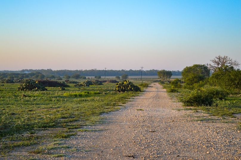 DSC_1038