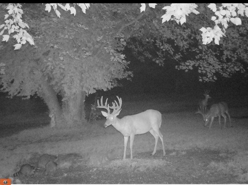 DAB74041-1A6B-4C4D-B1A3-D96705C97A22