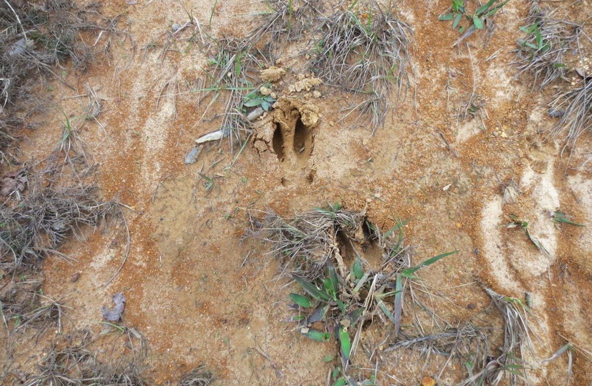 9CFAB990-2752-4C20-B6BE-D5F937C74C84_1_105_c