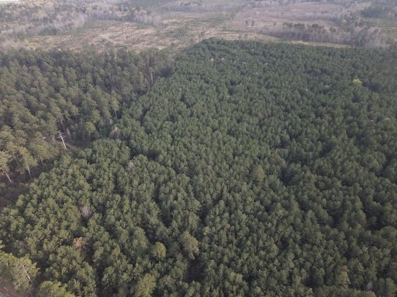 DJI_0102