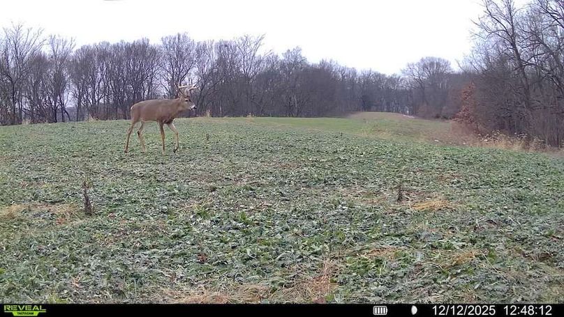 016578002607064-84-4-12122025124812-V-SYFW11620