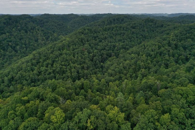 010 aerial drone shot from the middle of the property looking to the east