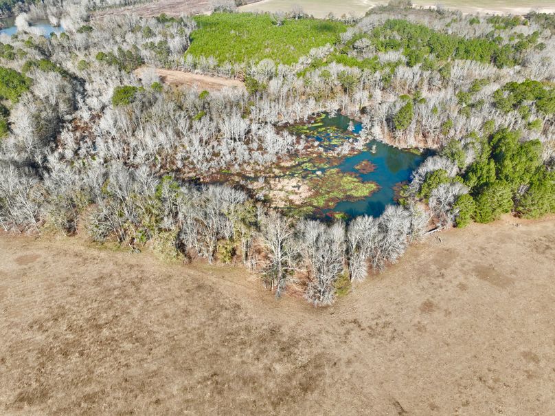 dji_fly_20231230_110050_12_1703952419129_photo