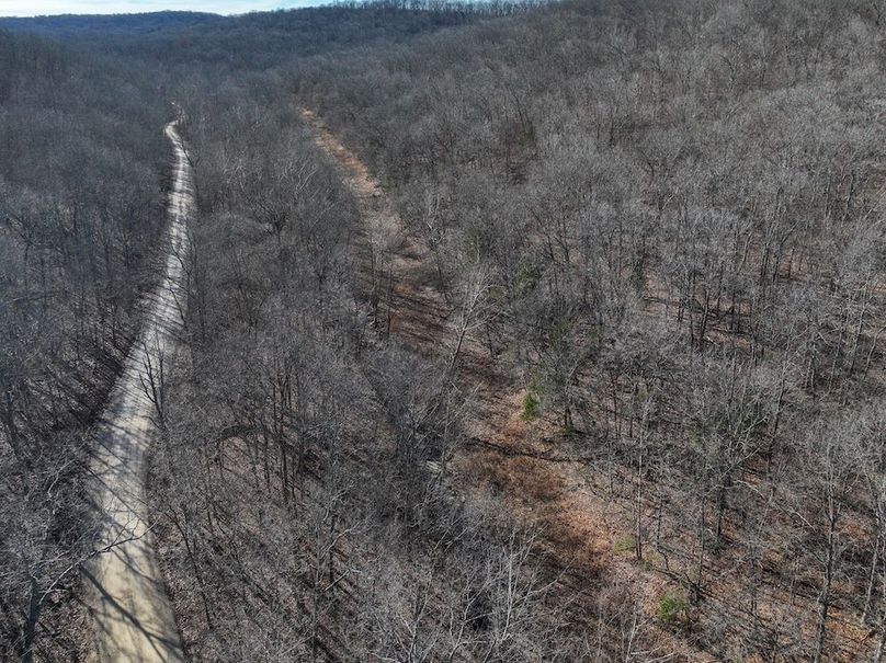 DJI_20251219114250_0901_D