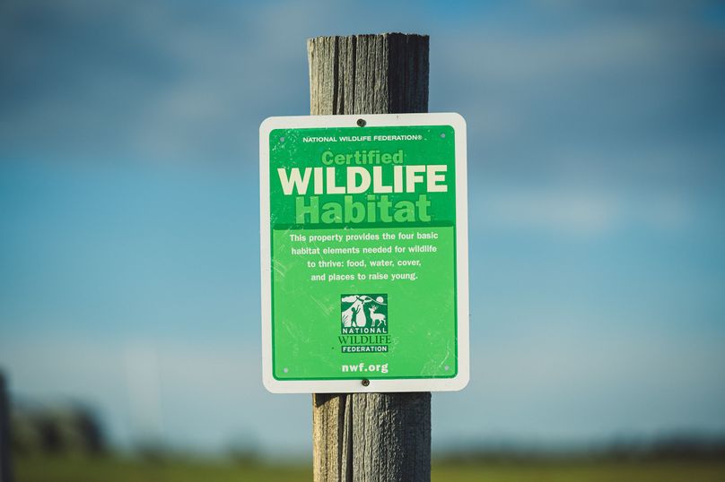 Douglas CO 35 Prettyman - 015