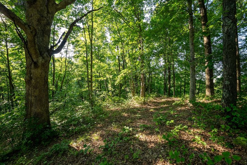 Wetzel WV 171 Featured_Pro Photo-49