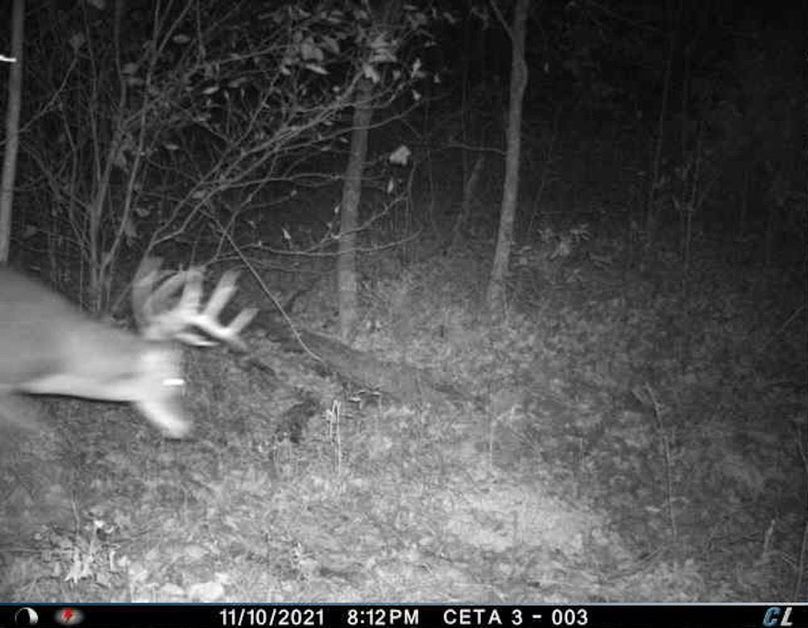 A7E8BE08-828F-4197-90A1-2D22AD802A41