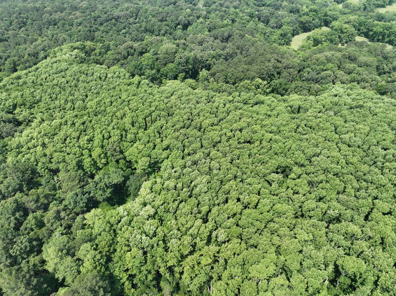 dji_fly_20230530_111614_145_1685483285241_photo