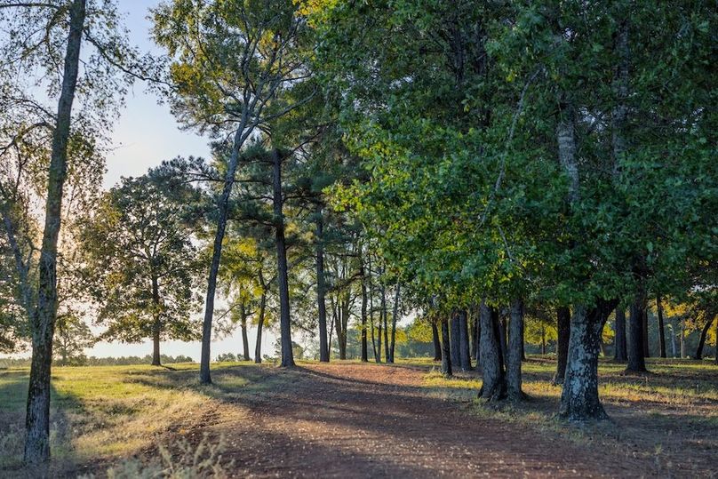 66 harrison 417ac pics-046