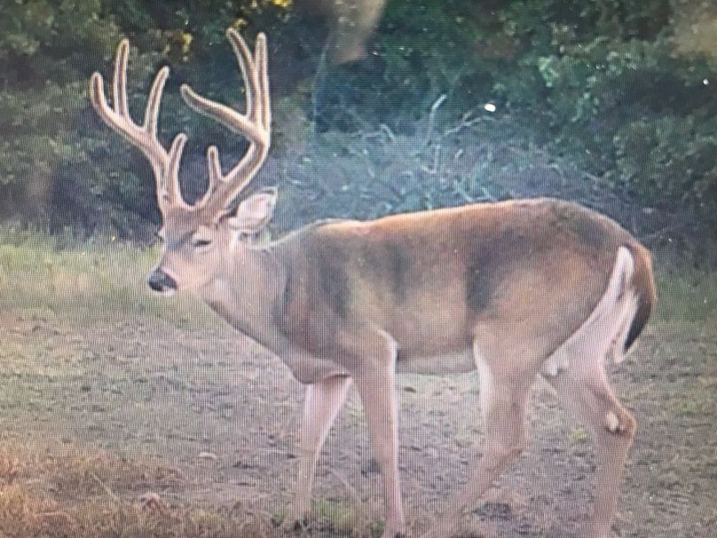 IAA98FD23-C8AA-4143-93D3-5347D8555EFB