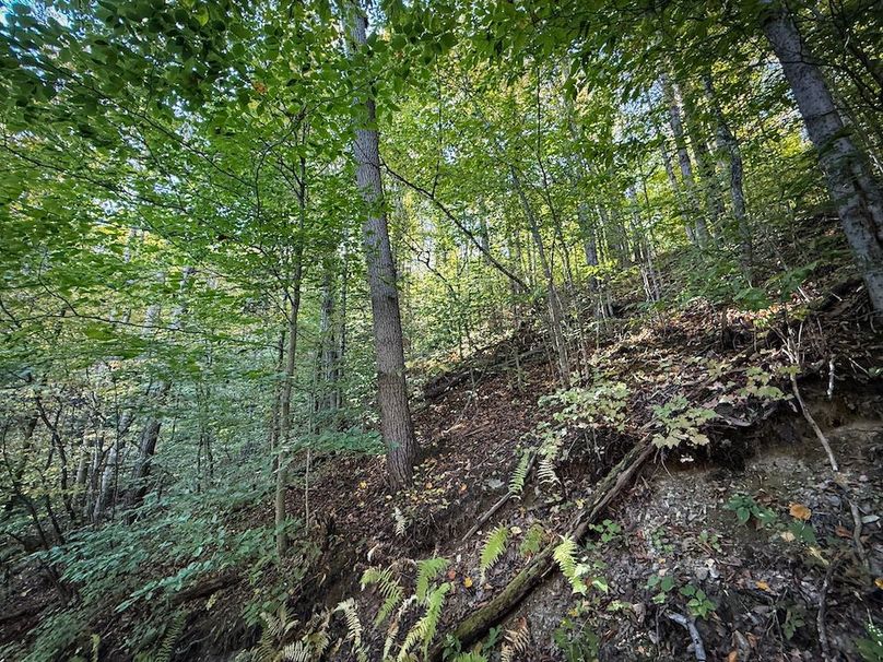 Tompkins NY 87 Allen Photos 29