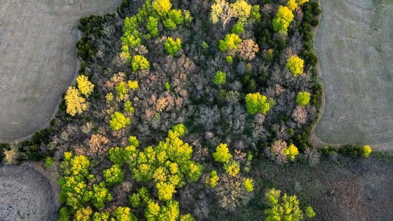 WabaunseeKansas887.39-23