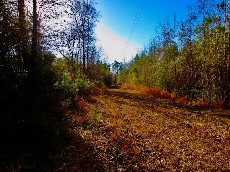 81034402-B30F-46C3-838A-B1C3D582D70D_1_105_c