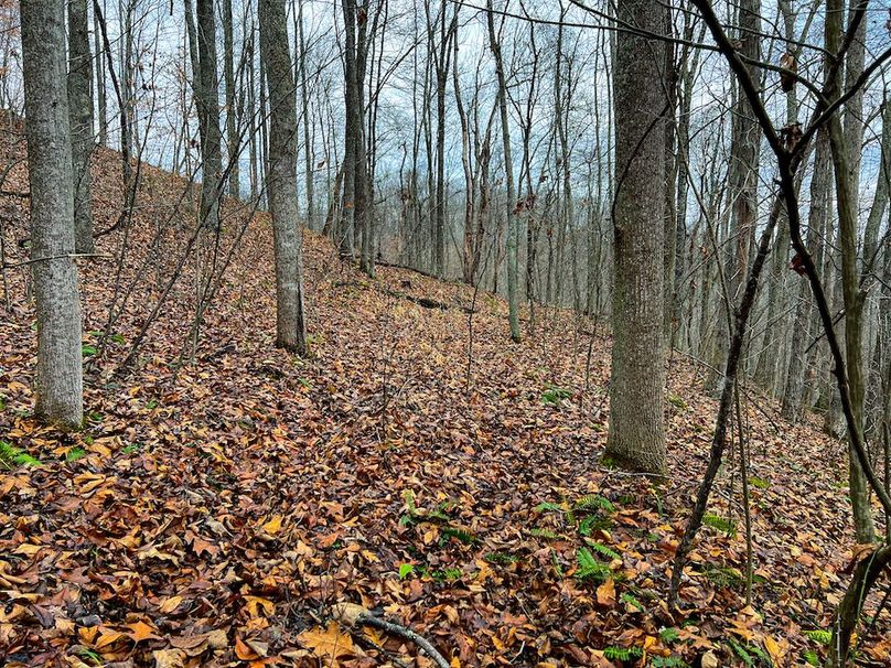 Calhoun, WV 225.69 AC Duffield-56