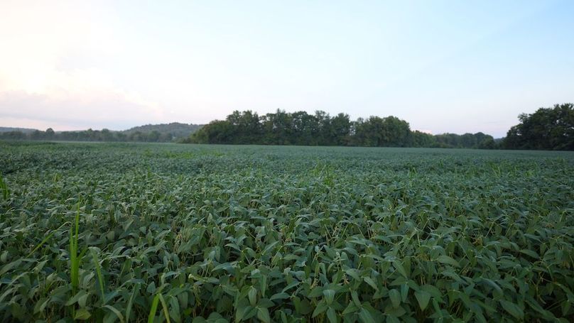 Copy of Copy of DSC04996