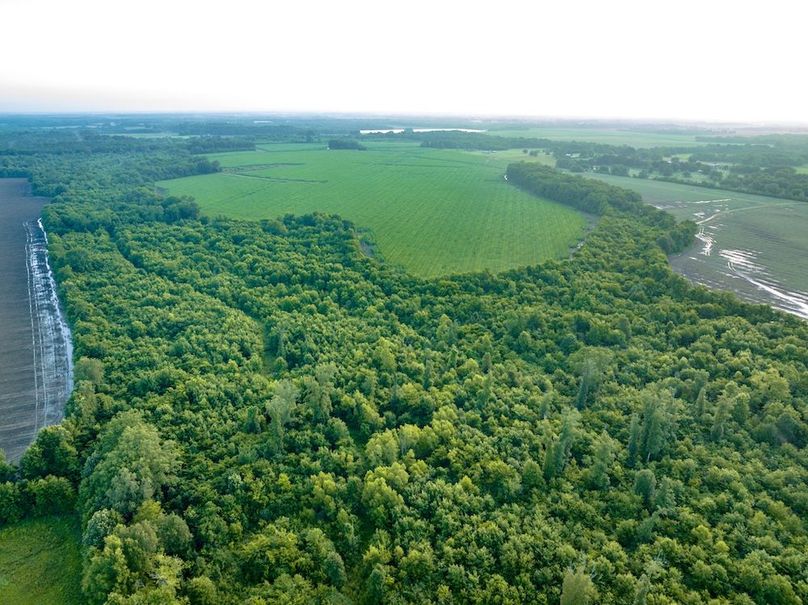 Copy of Noxubee 112.1 +- Tract 1-21