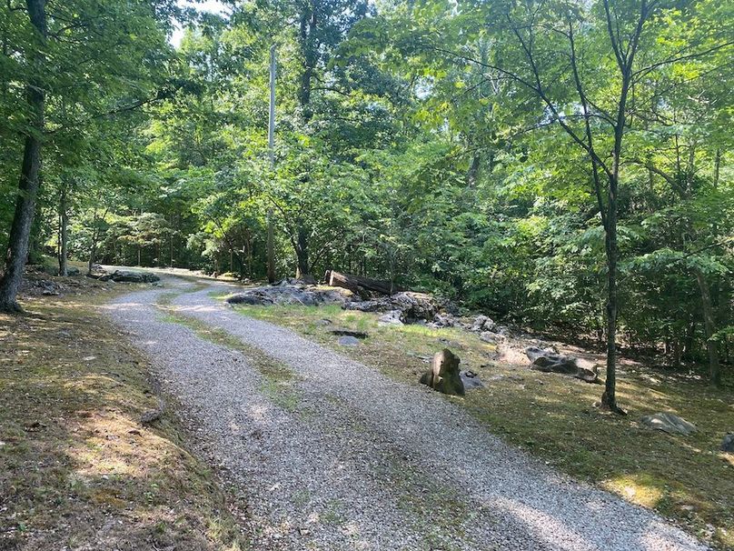 011 stretch of the driveway that lead past the _rock garden_ copy