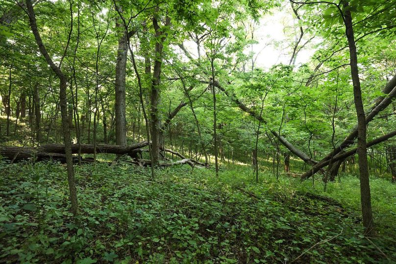 HARRISON CO. IA 24.85_73