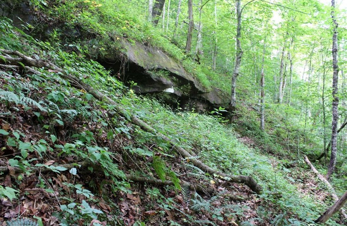 004 rock cliff out cropping along the eastern area of the property