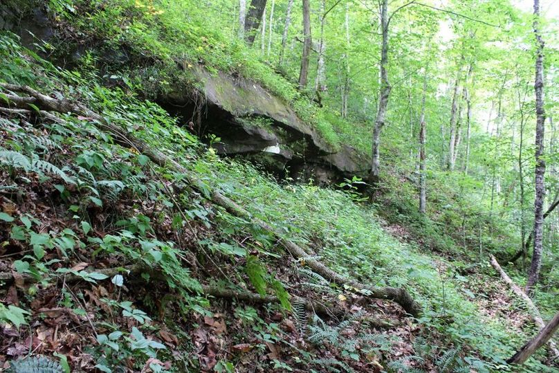 004 rock cliff out cropping along the eastern area of the property