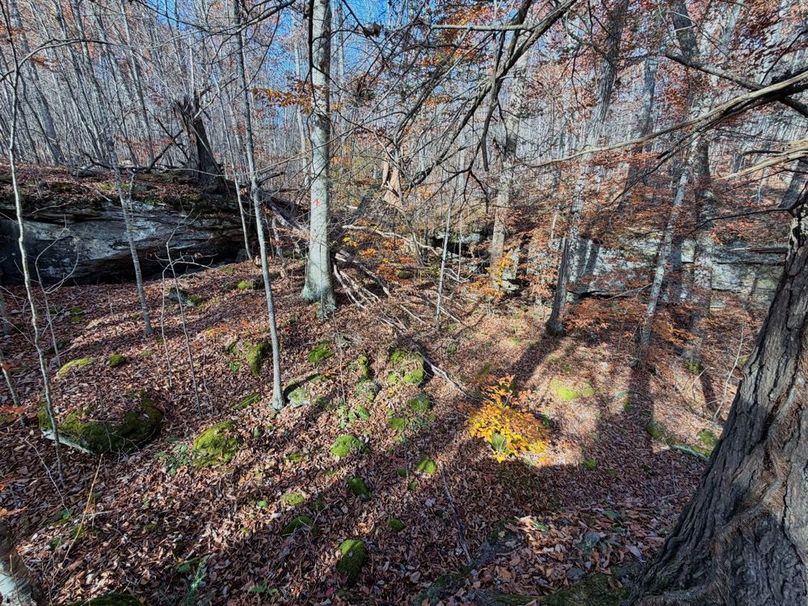 018 a secluded rock outcropping pocket towards the back of the property-2