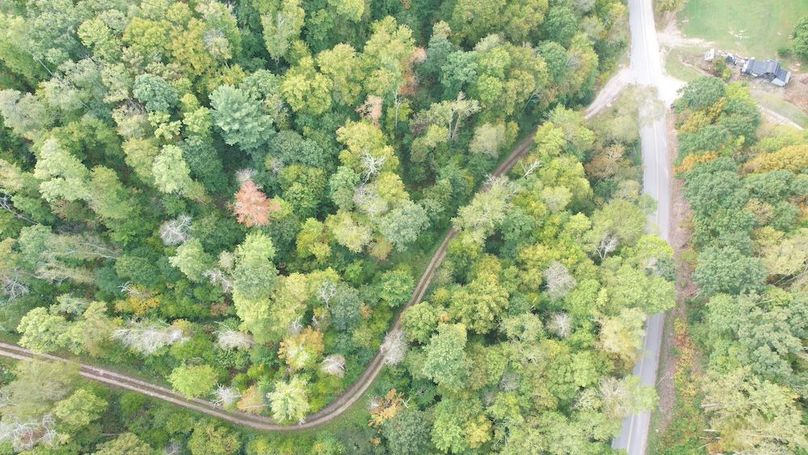 dji_fly_20240919_084936_664_1726752729909_photo