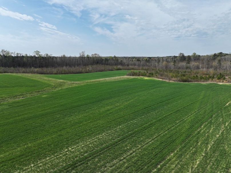 DJI_20260303063417_0542_D