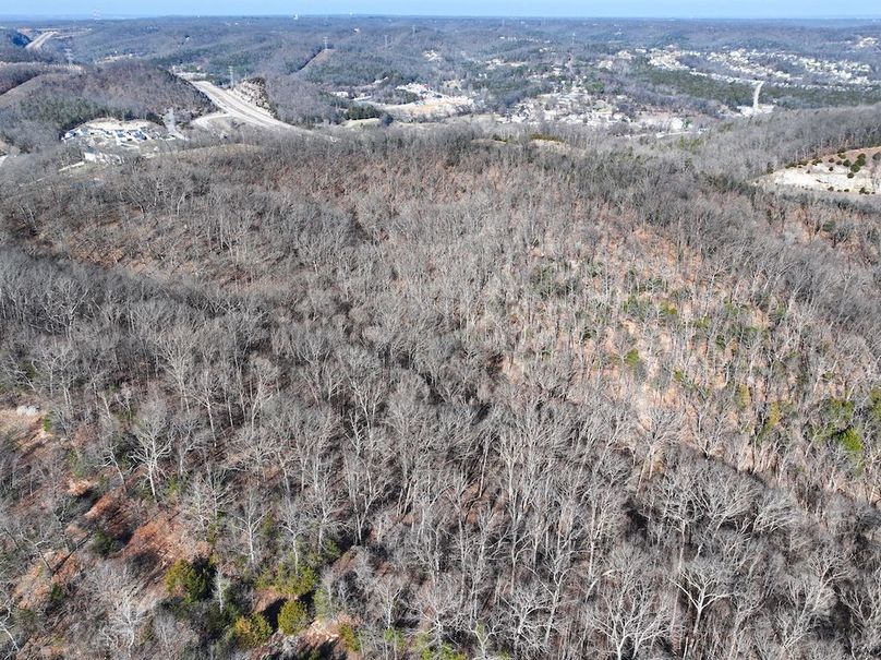 DJI_20260106115840_0916_D