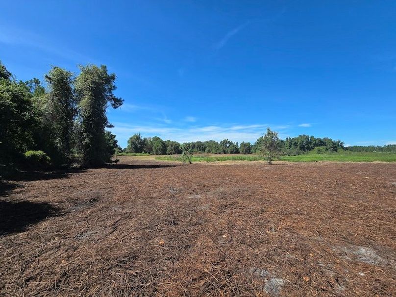 21ac, Sumter, Reelvest16