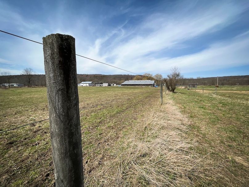 Tioga__NY_109.7_Burris_Photos_131