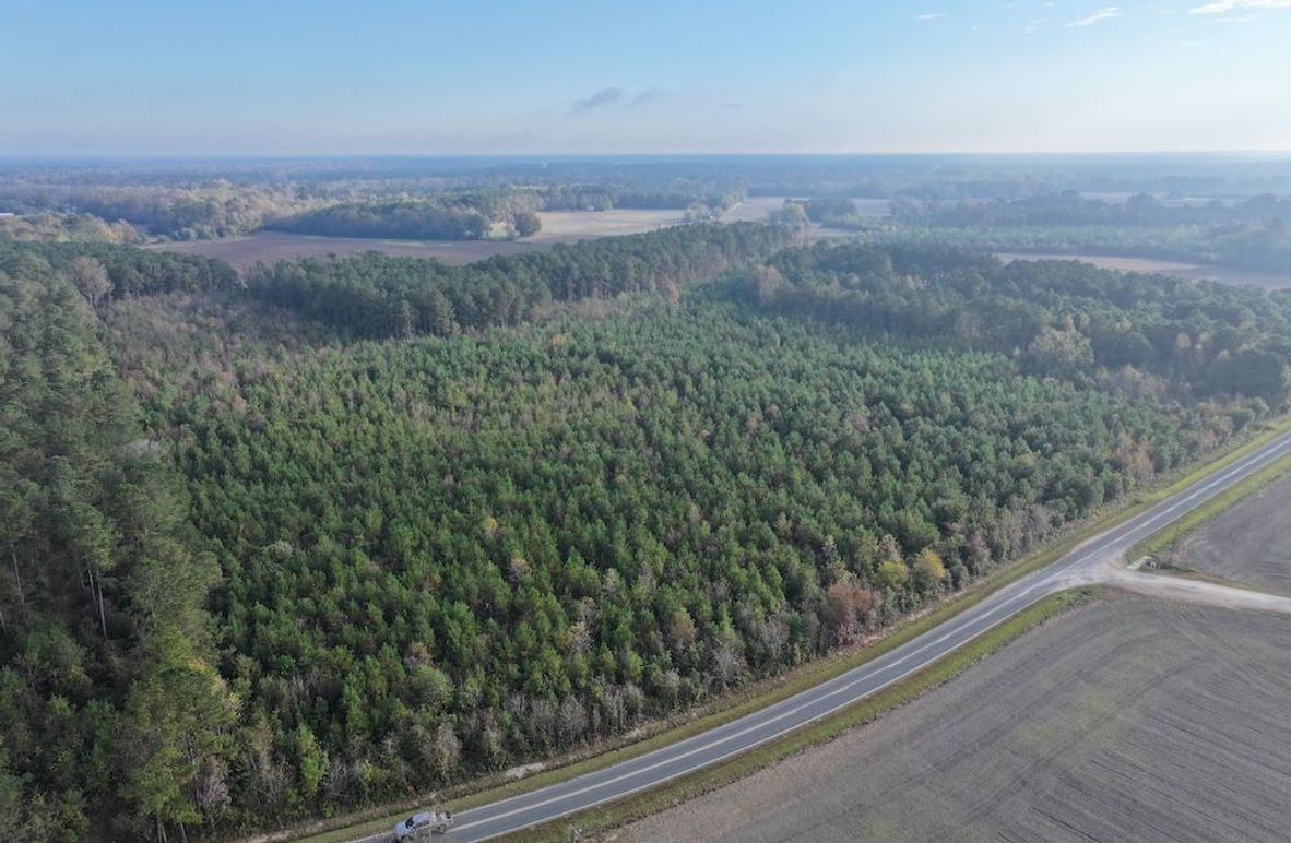 DJI_20241109085549_0122_D