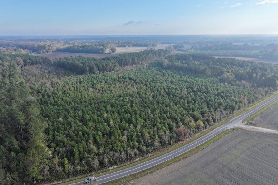 DJI_20241109085549_0122_D