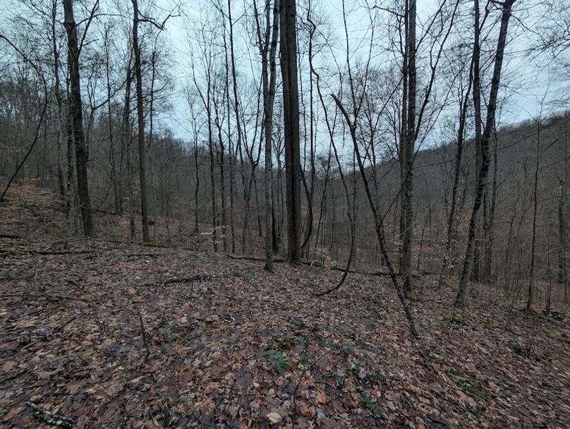 PXL_20260107_220716359