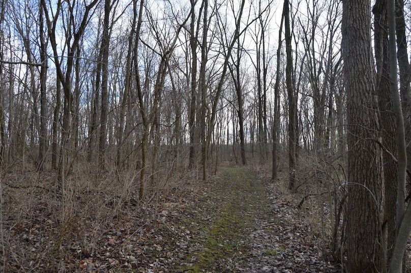 nice trail in middle