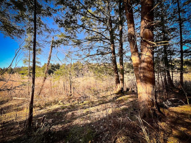 Oswego_17.88_Feld_Photos_70