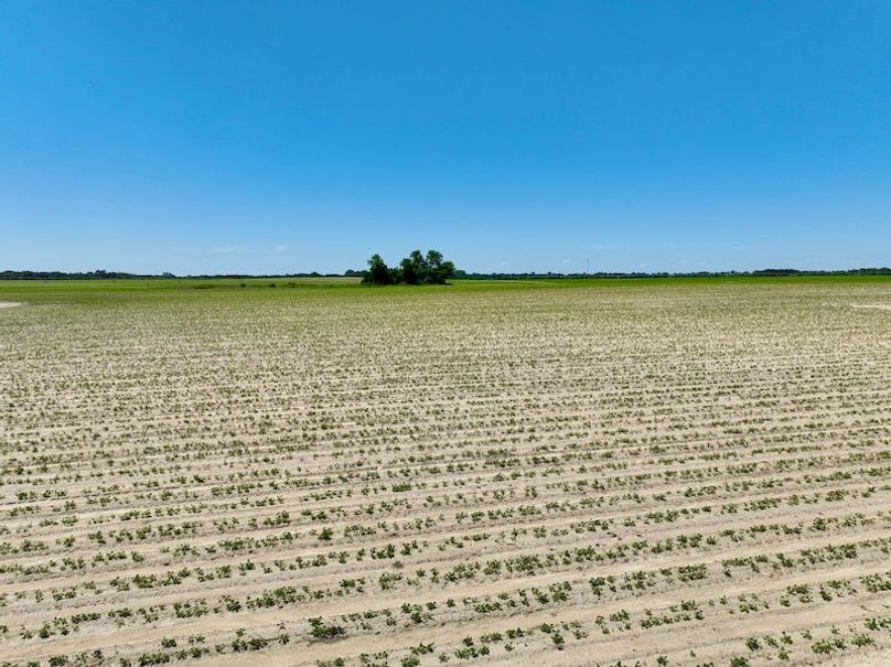 dji_fly_20250521_144942_896_1747853587106_photo