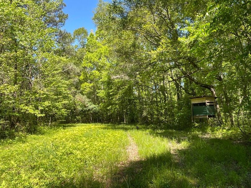 772C0663-3139-410C-AD08-33F2E5E4F1C3_1_105_c